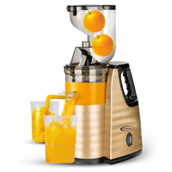 Extracteur De Jus FLORENCE HK-423 300W - Gold