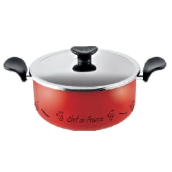 Faitout 26cm + couvercle CHEF DE FRANCE TEFAL (A2245262)