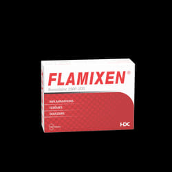 FLAMIXEN B - Boîte de 10 pièces