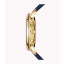 Fossil Neutra Montre bracelet Mâle Quartz Or