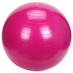 Gym Ball ZIMOTA 75 cm - Rose (01042075)