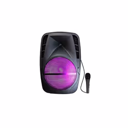 Haut Parleur Bluetooth avec Trolley - Puissance 30W - Batterie 2200 mAh - Rétroéclairage LED - Radio FM - 1x Port USB - Lecte ...