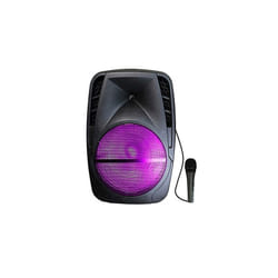 Haut Parleur Bluetooth avec Trolley / 30W
