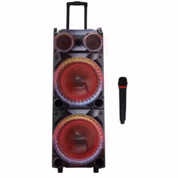 Haute Parleur avec Microphone PS-211: Support carte mémoire: SD - Port: Microphone sans fil（VHF) - Fonctions avec entrée: USB ...