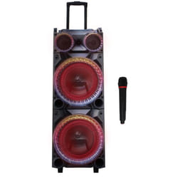 Haut Parleur Discovery Speaker + Microphone / USB / Audio FM