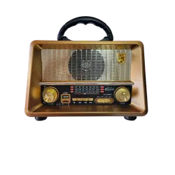 Haut Parleur Portable et Radio FM YG-227BT / Avec Lecteur Carte SD / Maroon