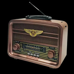 Haut Parleur Portable Radio FM Golon RX-BT939 / Marron