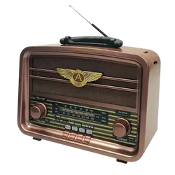 Haut Parleur Portable Radio FM Golon RX-BT939 / Marron