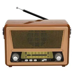 Haut Parleur Portable Radio FM Meier M-553BT-BR - Marron