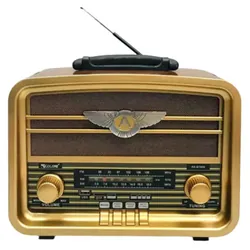 Haut Parleur Portable Radio FM Meier RX-BT939 - Marron