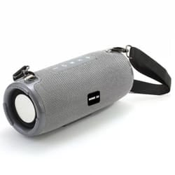 Haut Parleur Sans Fil HOME DJ TG324 - Gris