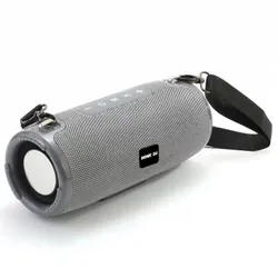 Haut Parleur Sans Fil HOME DJ TG324 - Gris