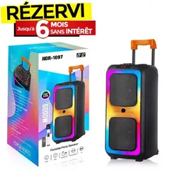 Haut parleur Sans Fil NDR 1097 RGB - Noir