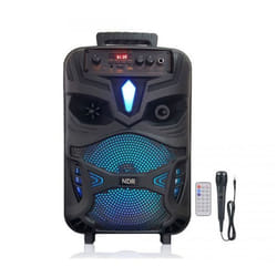 Haut Parleur Sans Fil NDR P55 - Noir