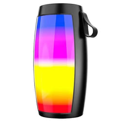Haut Parleur Sans Fil ZQS-1202 RGB - Noir