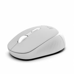 Inca IWM-243RG souris Ambidextre RF sans fil Optique 1600 DPI