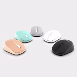 Inca IWM-243RG souris Ambidextre RF sans fil Optique 1600 DPI