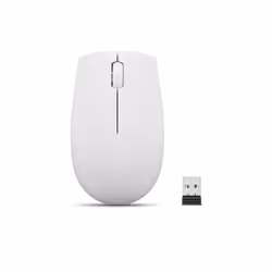 Lenovo 300 WIRELESS MOUSE?GREY, Ambidextre, Optique, RF sans fil, 1000 DPI, Gris