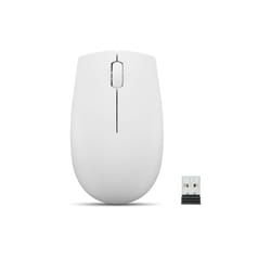 Lenovo 300 WIRELESS MOUSE?GREY souris Ambidextre RF sans fil Optique 1000 DPI
