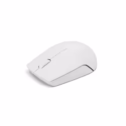 Lenovo 300 WIRELESS MOUSE?GREY souris Ambidextre RF sans fil Optique 1000 DPI