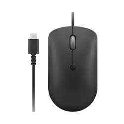Lenovo GY51D20875 souris Ambidextre Optique 2400 DPI