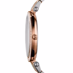 Michael Kors MK3203 montre Montre bracelet Femelle Or, Argent
