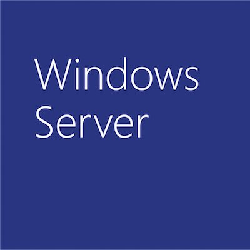 Microsoft Windows Server Standard 2019, OLP Open License Multilingue