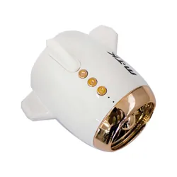 Mini Haut Parleur Bluetooth TF806 Bts Blanc