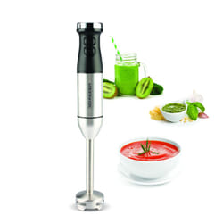 Mixeur SCHNEIDER 3EN1 / 600W / INOX