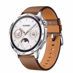Montre Connectée Huawei Watch GT4 46 mm Marron