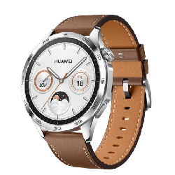 Montre Connectée Huawei Watch GT4 46 mm Marron
