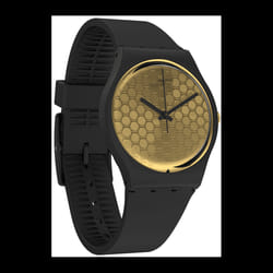 Montre Mixte Swatch Arthur GB323