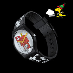 Montre Mixte Swatch GRANDE BRACCHETTO SO28Z107