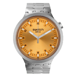 Montre Pour Homme Swatch AMBER SHEEN SB07S103G / Gris
