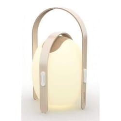Mooni OVO Mini Lanterne LED a Changement de Couleur avec Haut-Parleur et Bluetooth 10W