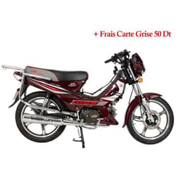 Moto à Essence FORZA XTF 125cc Monocylindre - Rouge Bordeaux