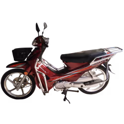 Moto SENKE SK110 - Cylindrée: 107 cm³ - Moteur: Monocylindre 4 temps - Refroidissement: A air - Transmission: chaine - Nombre ...
