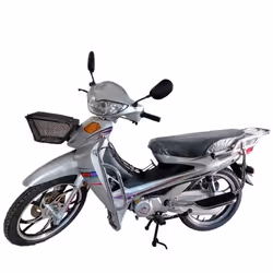Moto Uniscoot MTR 107CC Gris
