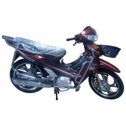 Moto Uniscoot MTR 107CC Marron
