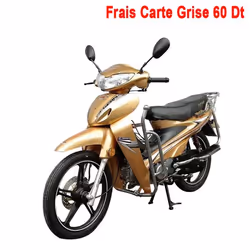 Moto ZIMOTA Partner - Cylindrée: 109cc - Moteur: monocylindre 4 temps - Refroidissement: A air - Couple maxi: 7.00/5.500 - Fr ...