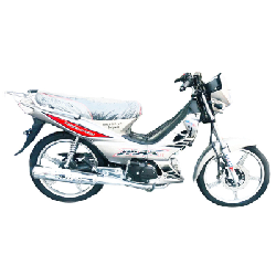 Motocycle Gold Motors Gris 107CM3