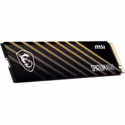 MSI S78-440L1D0-P83, 1 To, M.2, 5000 Mo/s