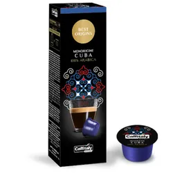 Paquet De 10 Capsules CAFFITALY Robusto Compatible Nespresso