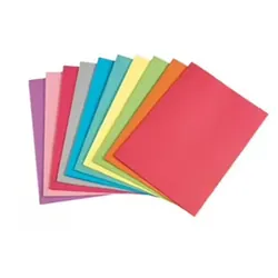 Paquet de 100 Chemise Cartonné LUXE Bristol 160 Gr - Assorties