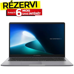 PC Portable ASUS ExpertBook P1 P1503 i5 13ème Gén 16Go 512Go SSD - Gris
