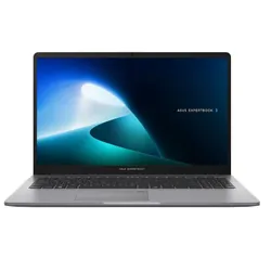 PC Portable ASUS ExpertBook P1503 Intel Core 5 210H 8Go 512Go SSD - Gris
