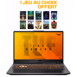 PC Portable ASUS TUF Gaming F17 R7-4800H 8Go 512Go SSD - Noir (TUF706IC-HX010T)