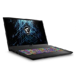 PC Portable Gamer MSI GF75 i7 10è Gén 16Go 512 SSD 17.3" (GF75THIN-10UEK-055XFR)