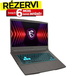 PC Portable Gamer MSI Thin 15 B13VE i5 13è Gén 16Go RTX 4050