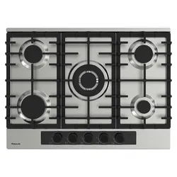 Focus F 8003XS - Plaque gaz 5 feux, 70 cm, avec thermocouple, Inox